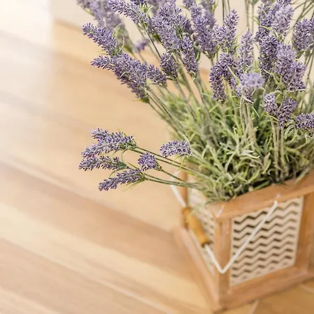 & Milcetic D 4* Malinska