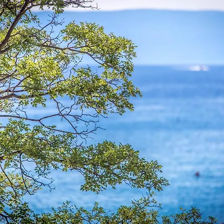 & Milcetic D Malinska