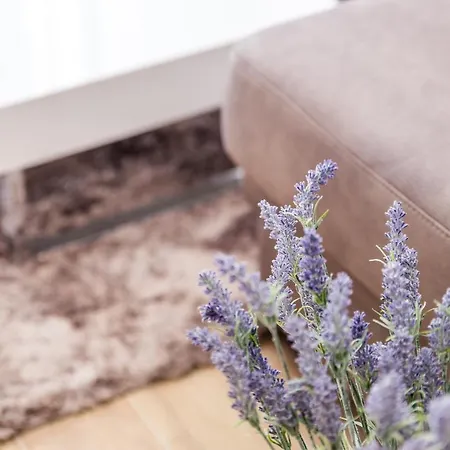 Gostinjska kuća & Milcetic D