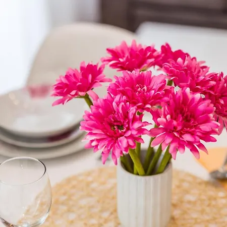 & Milcetic D بيت ضيافة مالينسكا